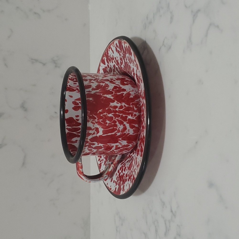 CGS International Enamal Cup and Saucer